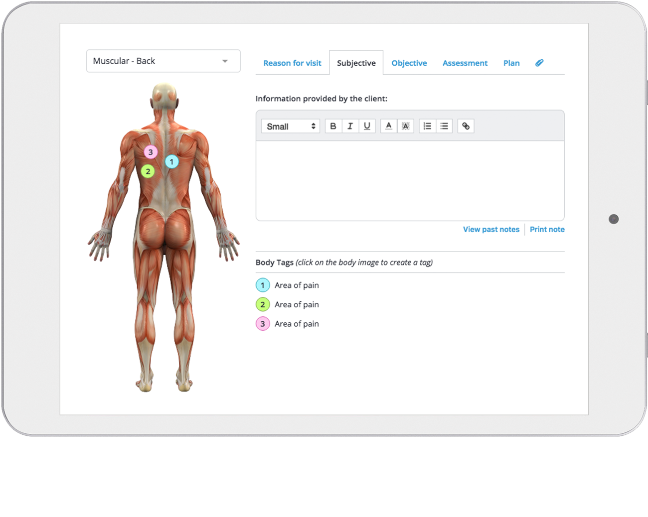 Massage Therapist Soap Notes Software Clinicsense